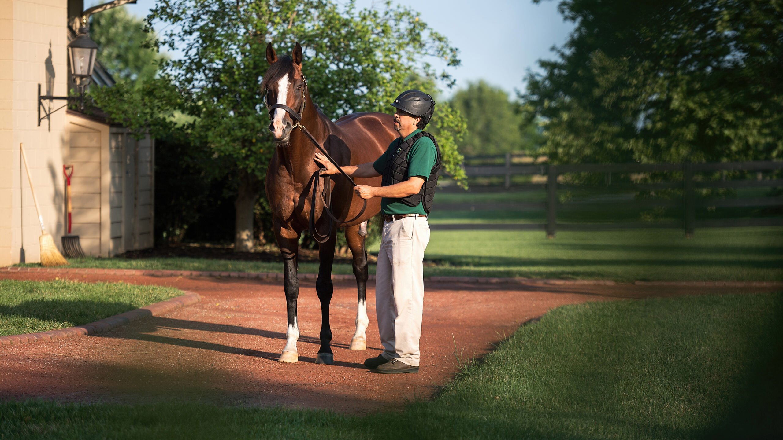 Equine_01_001